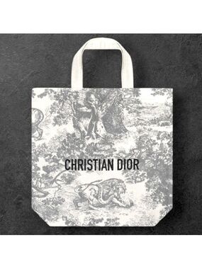 Dior Grey Tote Shopping Bag Medium Embroidered Logo New Authentic